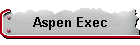 Aspen Exec