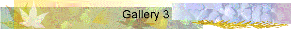 Gallery 3