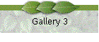 Gallery 3