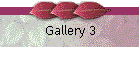 Gallery 3