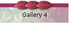 Gallery 4