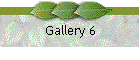 Gallery 6