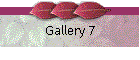 Gallery 7