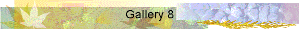 Gallery 8