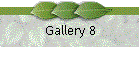 Gallery 8