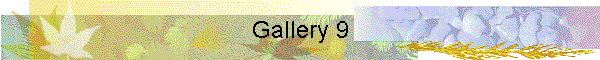 Gallery 9