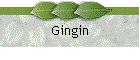 Gingin