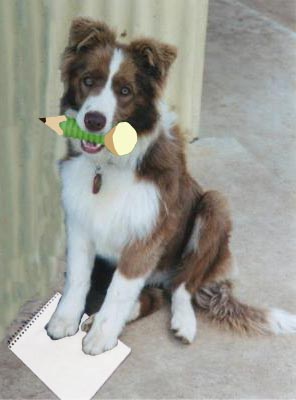 Milo-Indy.jpg (23544 bytes)