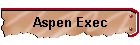 Aspen Exec