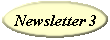Newsletter 3